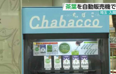 入间市推出狭山茶自动售货机 推广饮茶文化